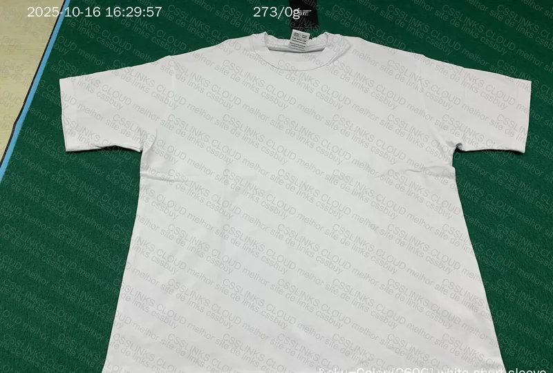 Basic White Shirt 2
