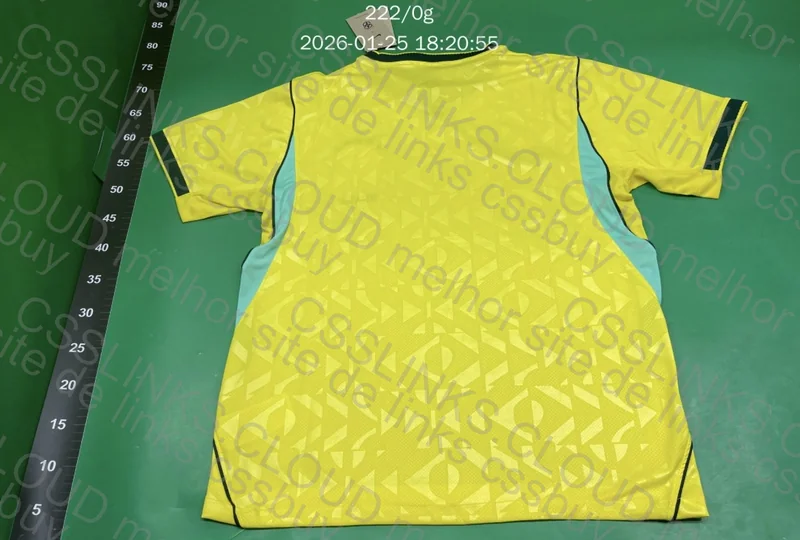 Camisa Brasil WC