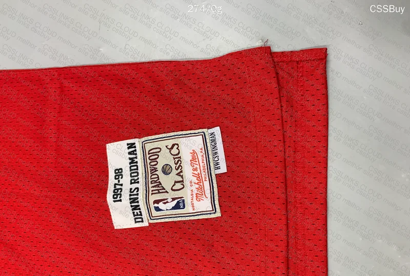 Bulls Rodman Shirt 5