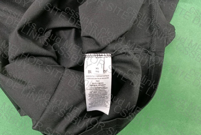 Burberry Shirt 4