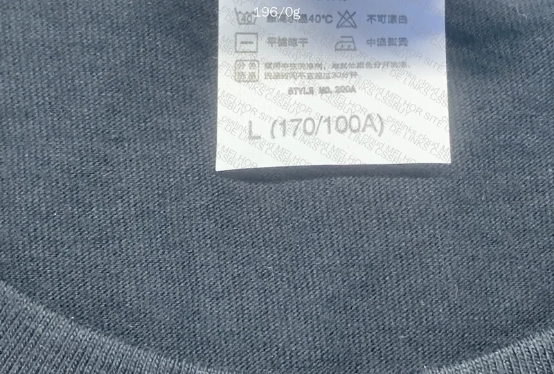 Champion Shirt 2