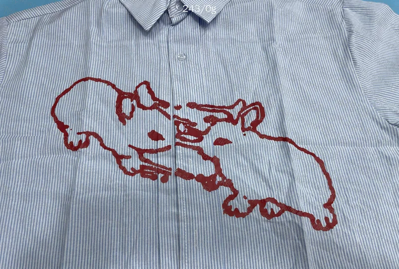 Rabbit Shirt