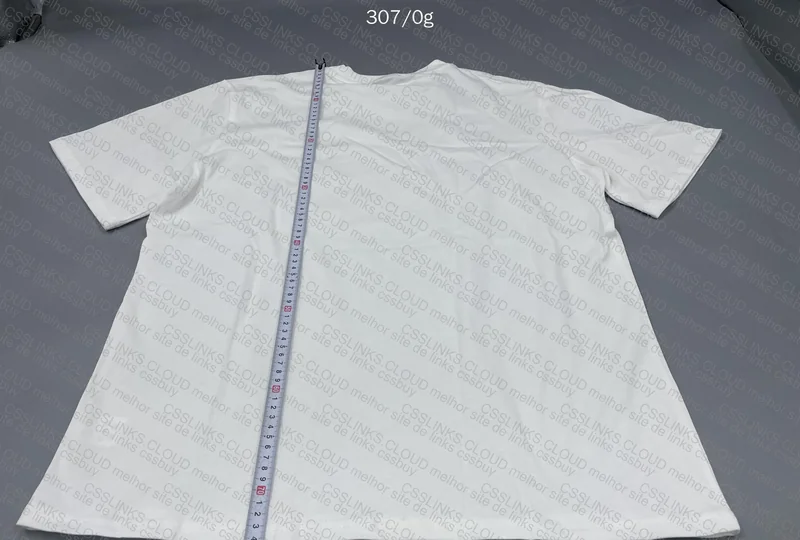 Corteiz Spider Web Shirt, Pie?? (with measurements)
