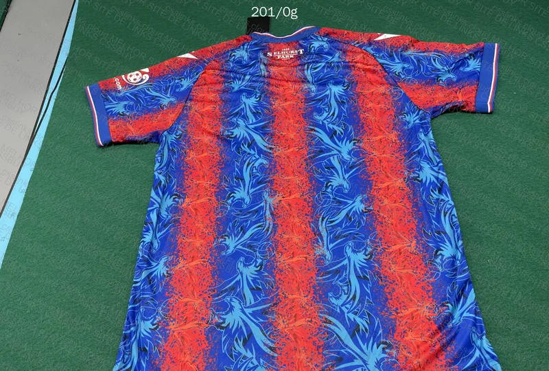 Crystal Palace Shirt 3