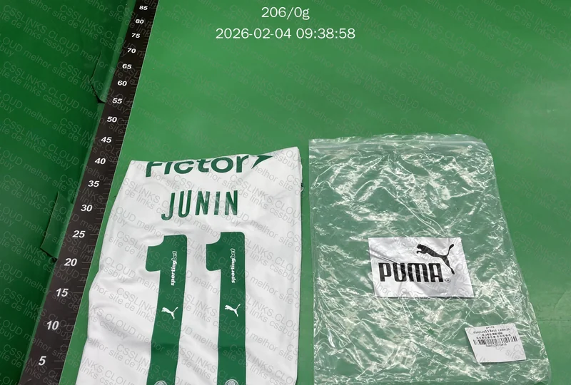 Camisa customizada palmeiras 2026