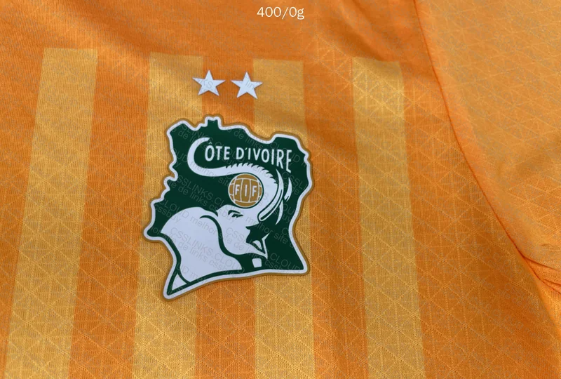 Ivory Coast Player Version Shirt (random) 2