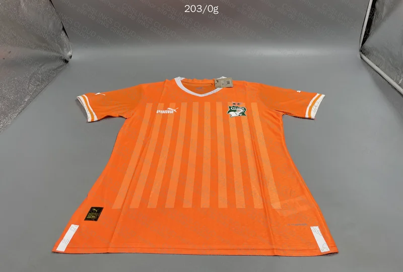 Random Team Jersey (Player Version)