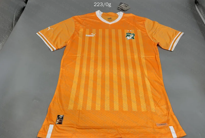 Random Team Jersey Player Version