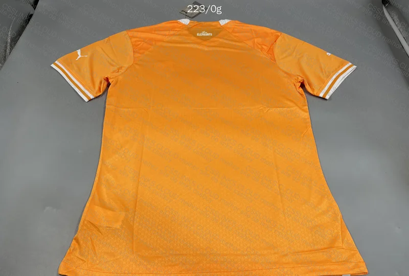 Random Team Jersey Player Version 5