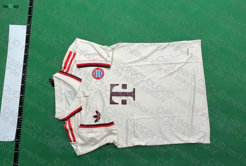 Bayern 24-25 Team Jersey