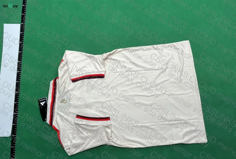Bayern 24-25 Team Jersey 2