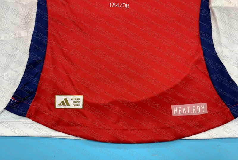 Blind Team Shirt 7