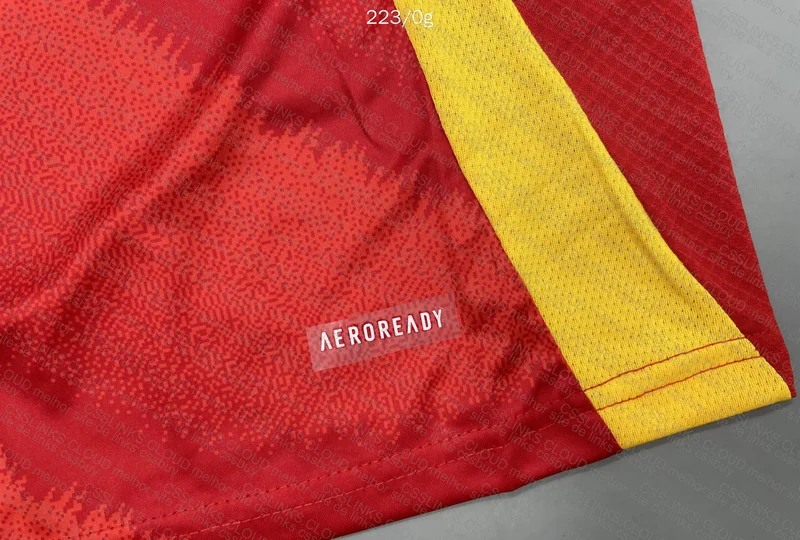 Spain Team Shirt 5