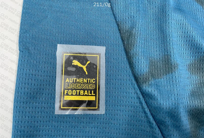 Marseille 24/25 Team Shirt 2