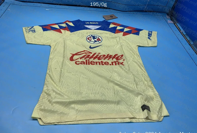 Team Jersey (First Import) 2