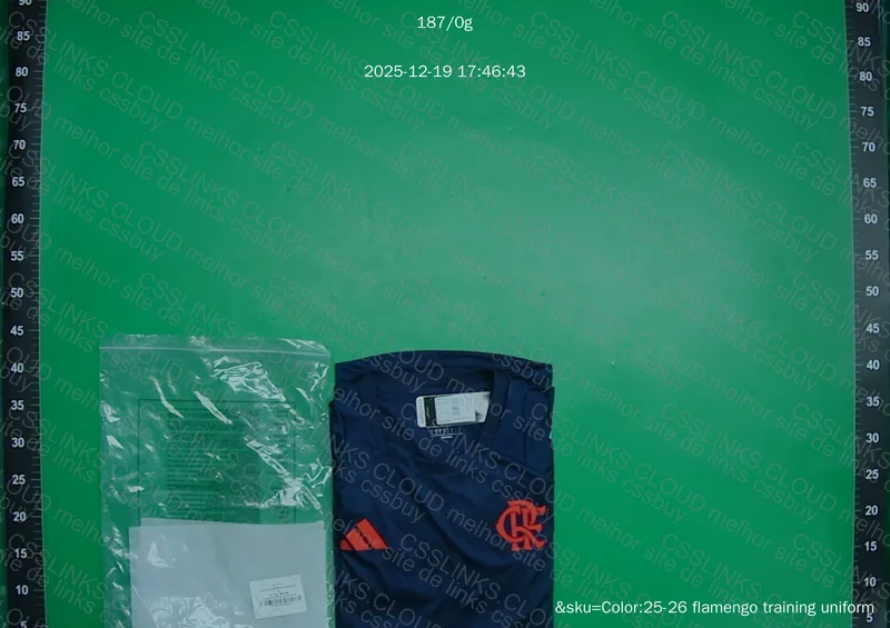 Flamengo Training Shirt 2