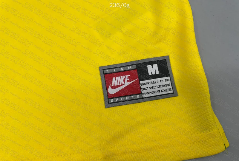 Brazil Jersey (Help) 6