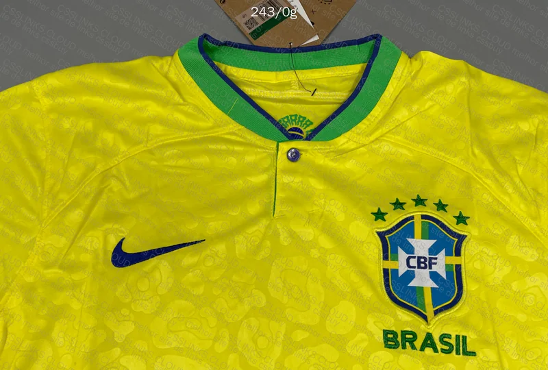 Braza Jersey 4