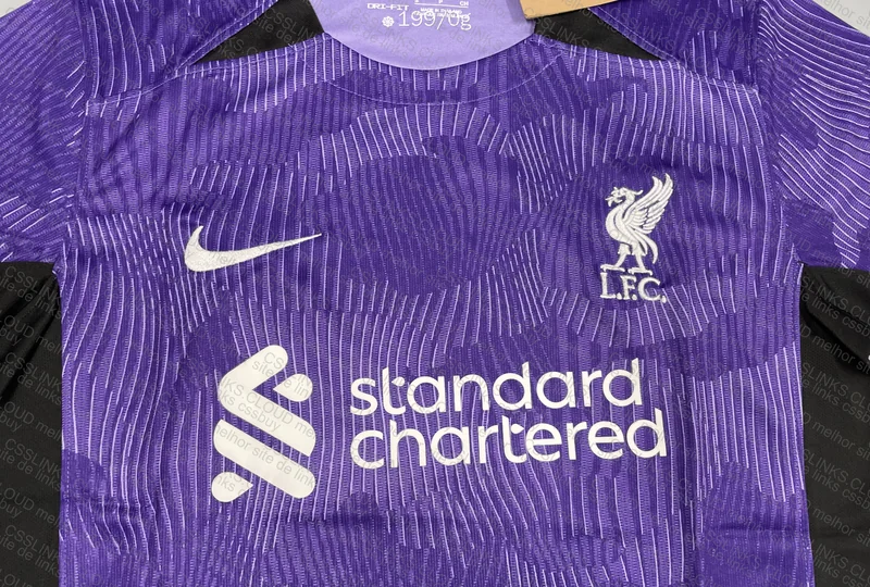 Liverpool Jersey 5