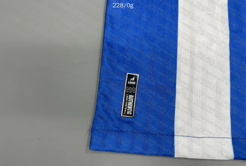 LOBÃO BICHO PAPÃO 🐺 (Paysandu) Jersey 2