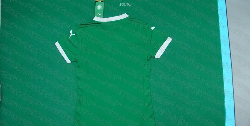 Palmeiras 2025 Jersey 2