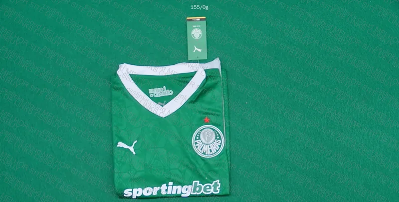 Palmeiras 2025 Jersey 3