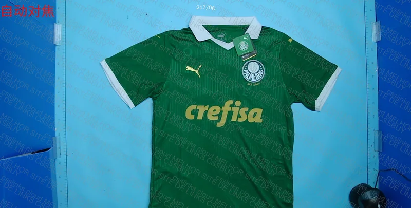 Palmeiras Personalized Jersey