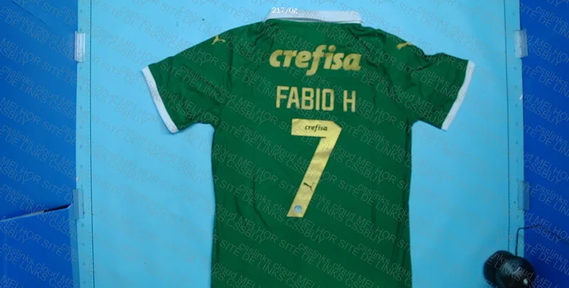 Palmeiras Personalized Jersey 2