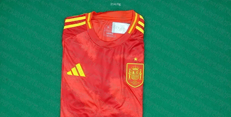 Spain 24/25 Shirt 2