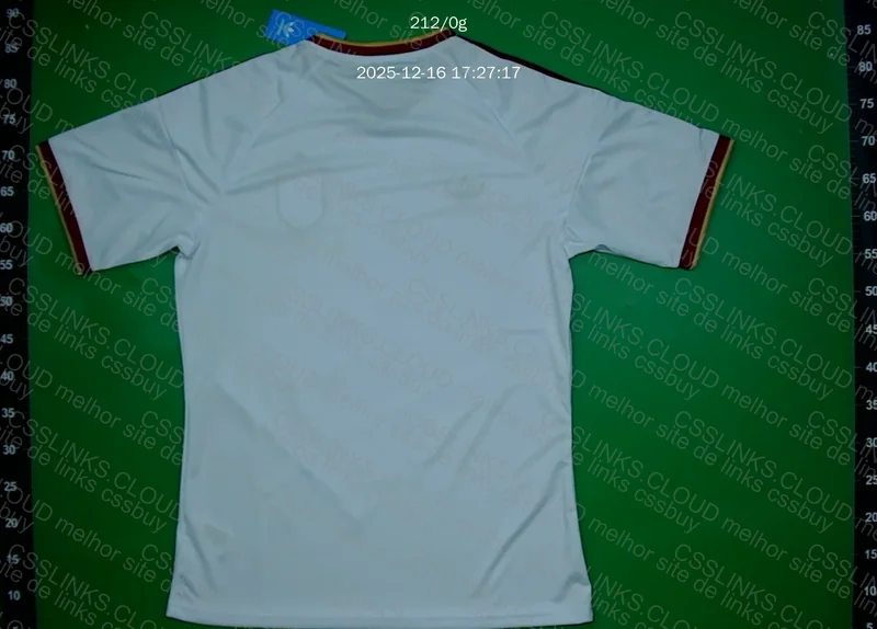 Spain 26 Shirt 2