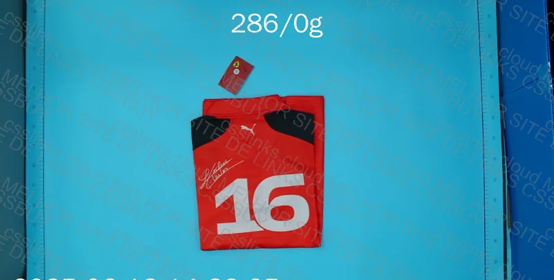F1 Ferrari Shirt