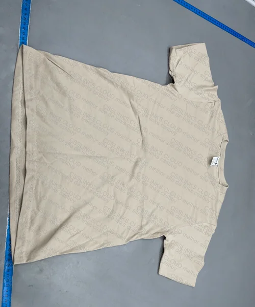 Gildan Shirt 2