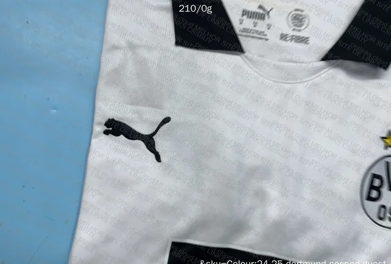 III Borussia Dortmund 2024/25 Shirt 4