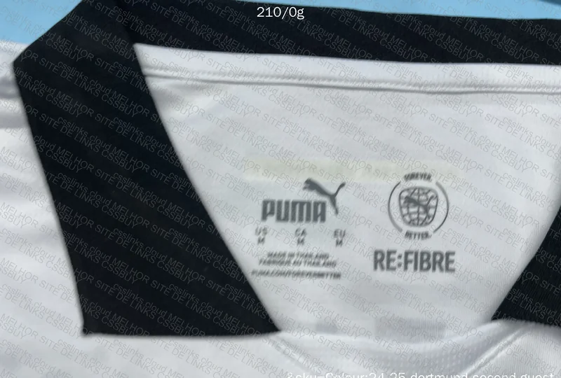 III Borussia Dortmund 2024/25 Shirt 5