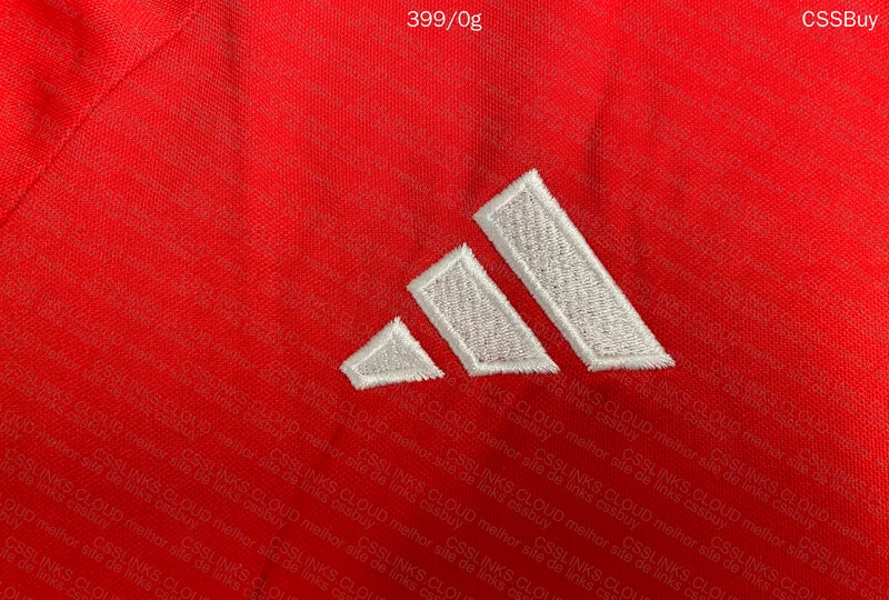 International Shirt 2023 (Slightly Crooked?) 3