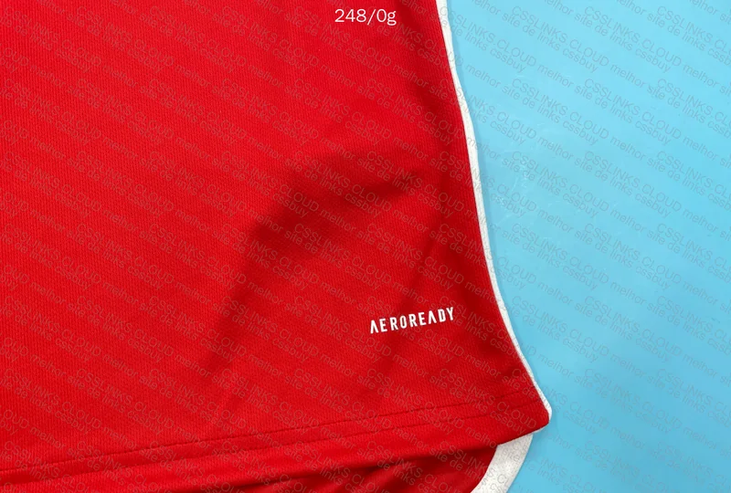 Internacional 24/25 Shirt 4