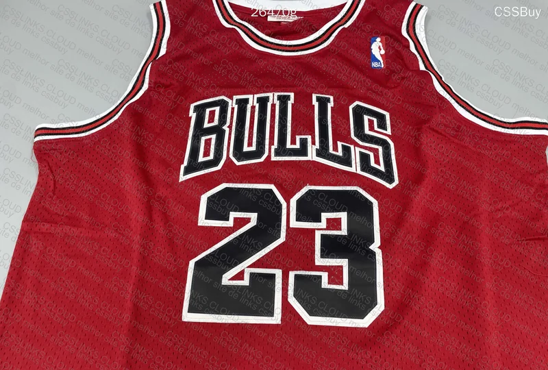Jordan Chicago Bulls Jersey 5