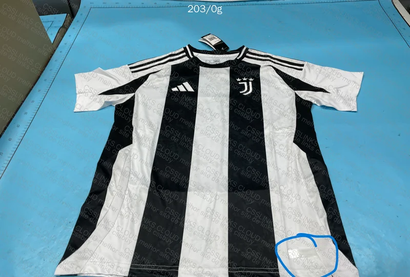 Juventus 24/25 Jersey **HELP** 2