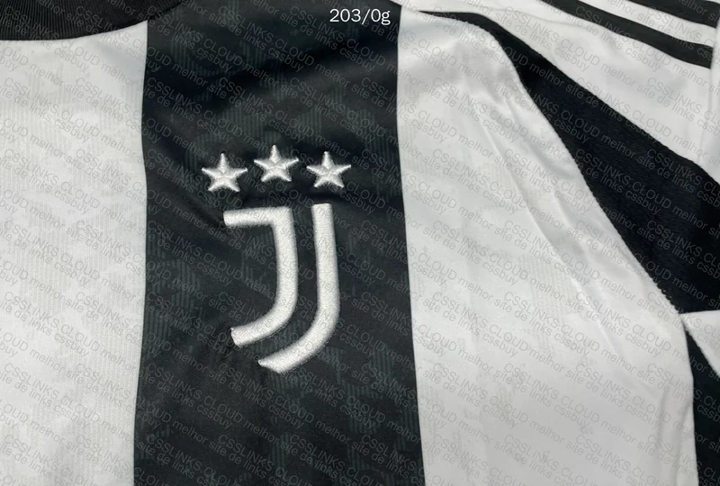 Juventus 24/25 Jersey **HELP** 6