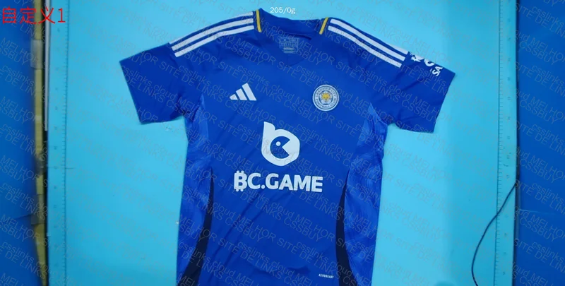 Leicester City 24/25 T-Shirt 2