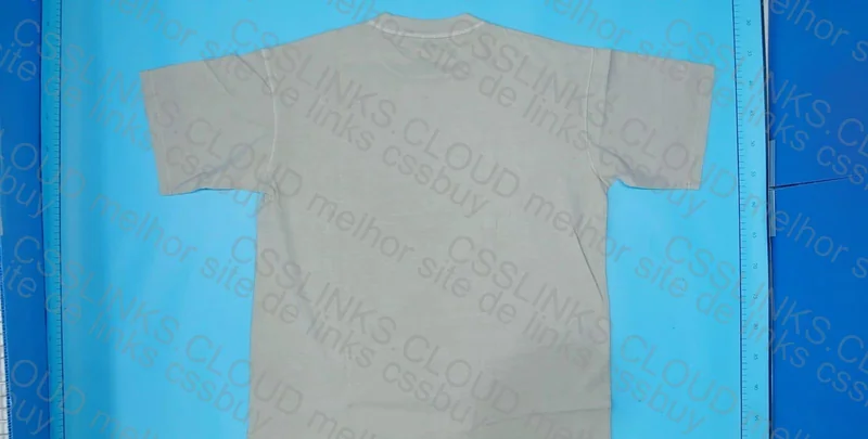 Plain T-Shirt 2