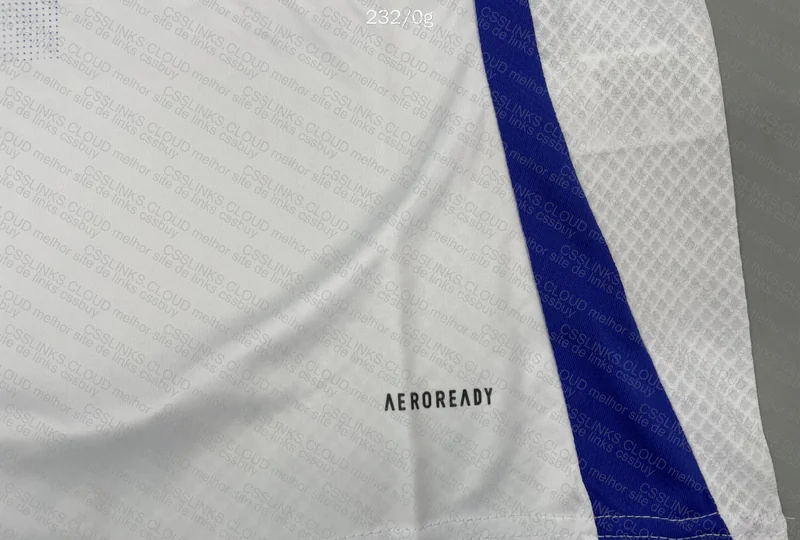 Lyon 24/25 Shirt 3