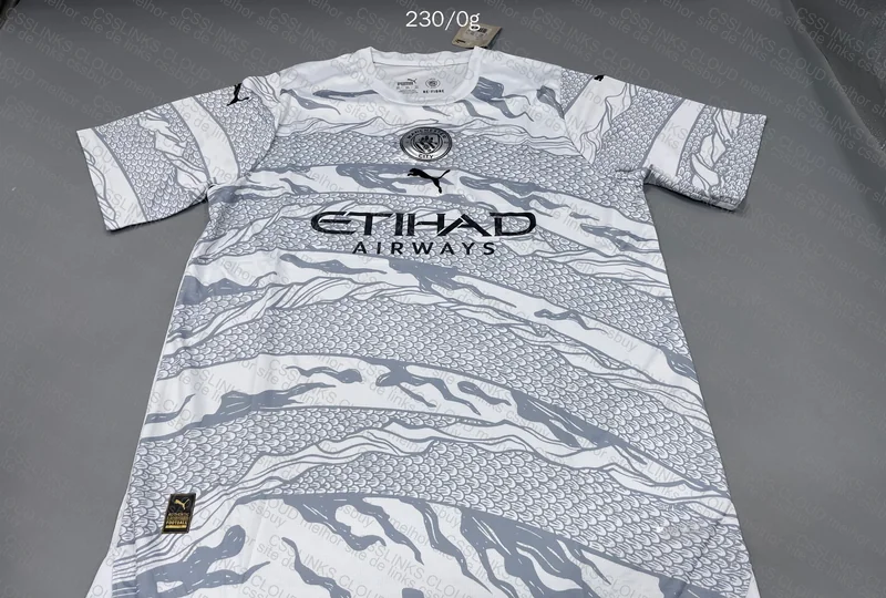 Manchester City Shirt 3