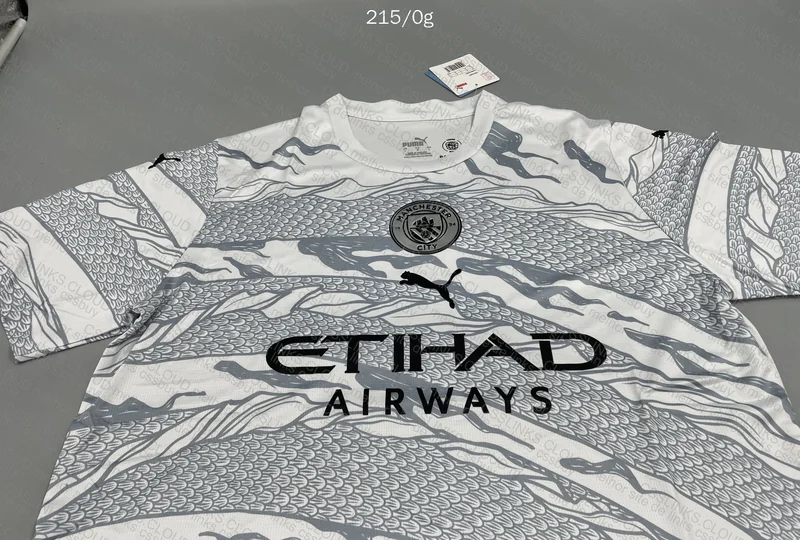 Manchester City Shirt 3