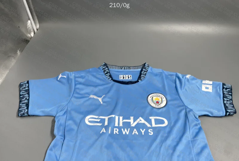 Manchester City Shirt 3