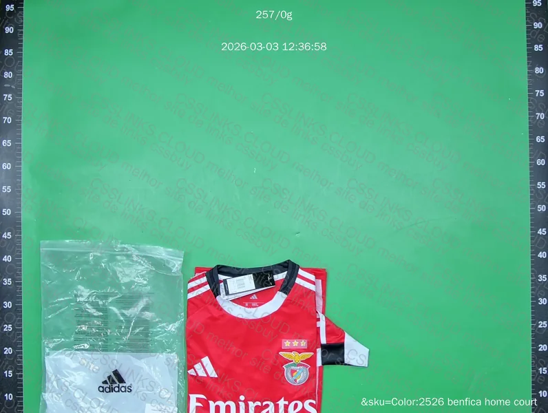 Camisa manga longa benfica 3