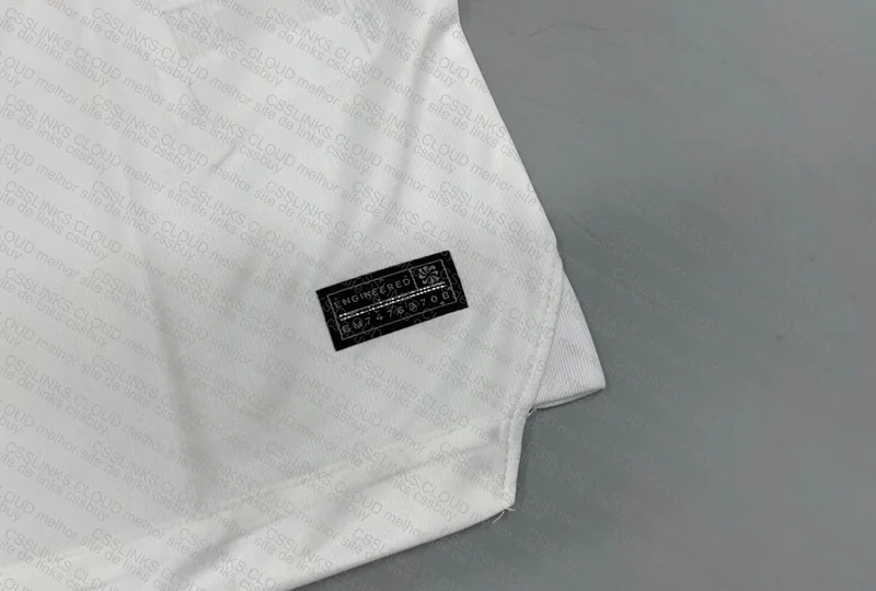 Olimpia 24/25 Shirt 2