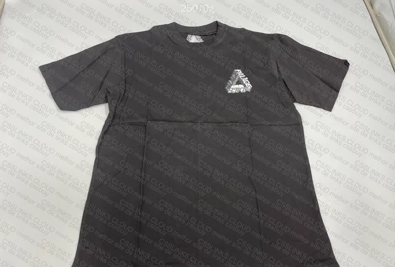 Palace Shirt 2