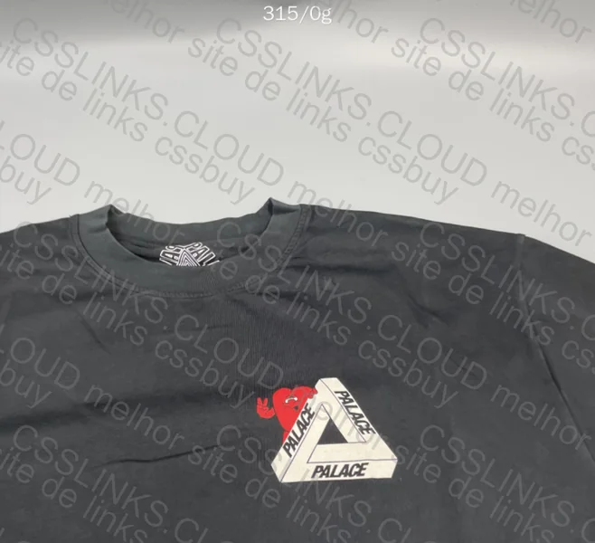Palace Shirt 2