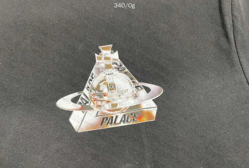 Palace Shirt 2